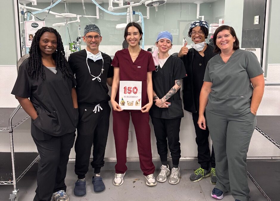 台灣之光!台灣獸醫新秀崔瑋綾海外發光 推廣收容所醫學、盼將經驗帶回台灣