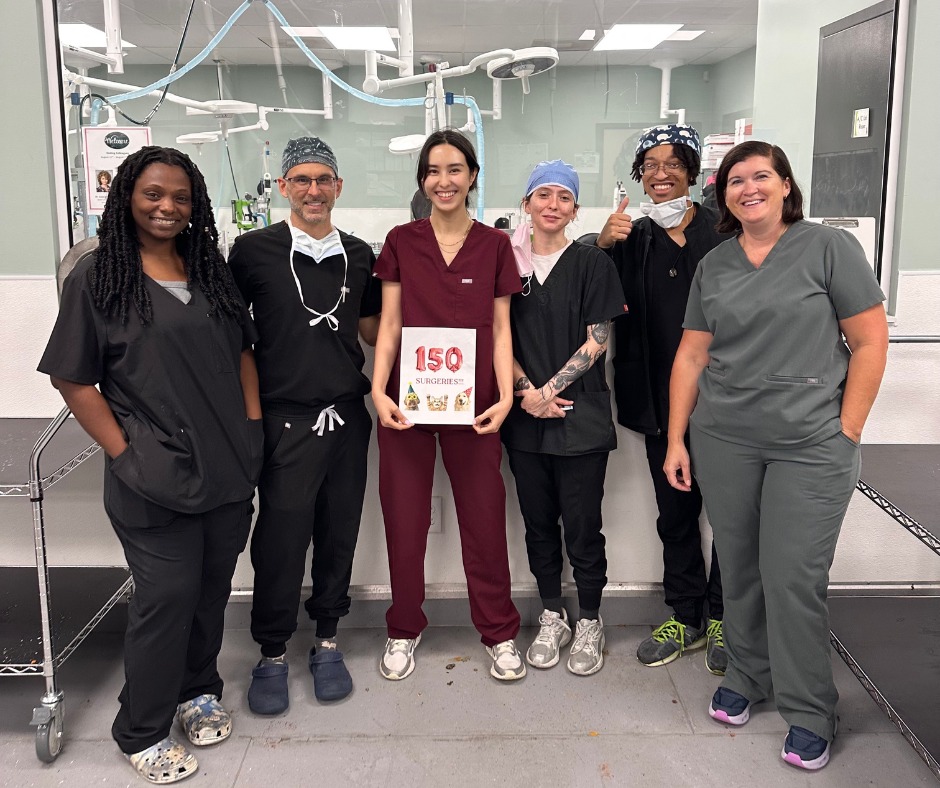 台灣之光!台灣獸醫新秀崔瑋綾海外發光 推廣收容所醫學、盼將經驗帶回台灣 2 544841034 1319528409624213 4084273693807452606 n