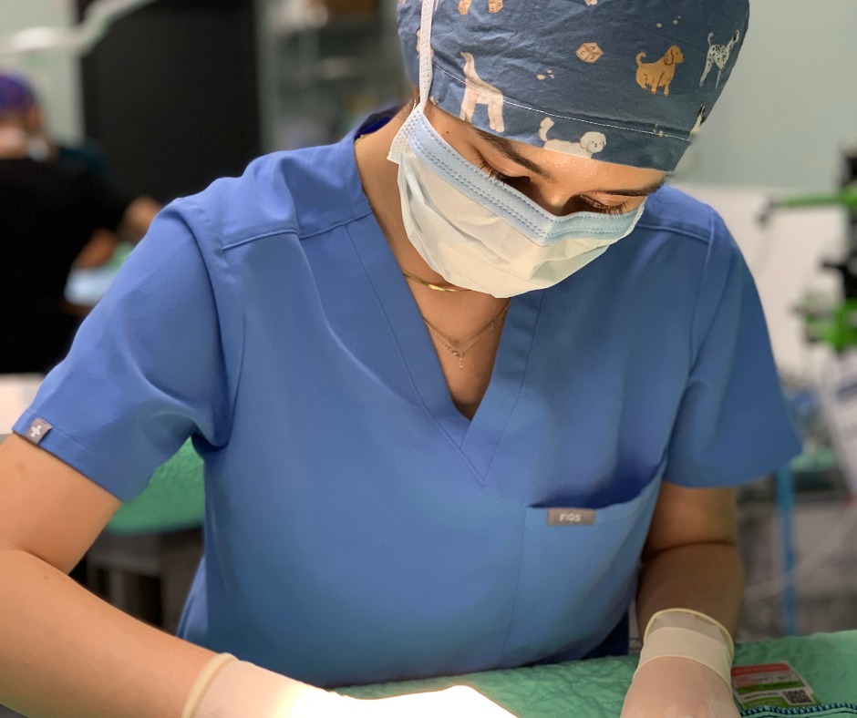 台灣之光!台灣獸醫新秀崔瑋綾海外發光 推廣收容所醫學、盼將經驗帶回台灣 1 544924555 1319528346290886 8507046521472707950 n