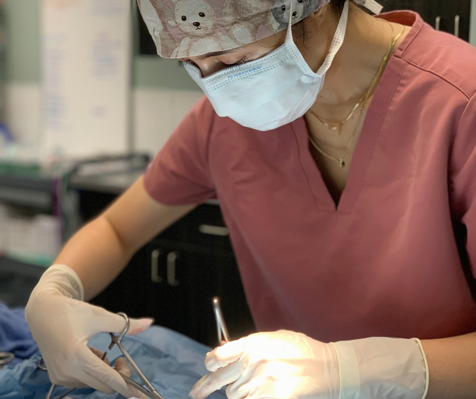 台灣之光!台灣獸醫新秀崔瑋綾海外發光 推廣收容所醫學、盼將經驗帶回台灣 3 545177016 1319528392957548 3337389071164825744 n